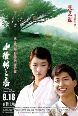 Poster phim Chuyện tình cây táo gai – Under the Hawthorn Tree (2010)