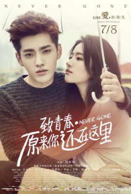 Poster phim Hóa ra anh vẫn ở đây – Never Gone (2016)