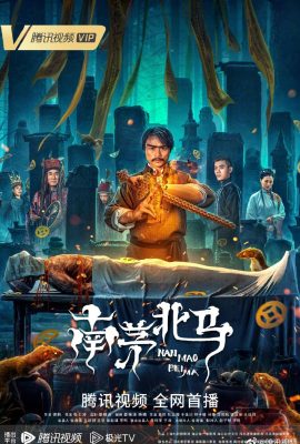 Poster phim Nam Mao Bắc Mã – Nan Mao Bei Ma (2023)