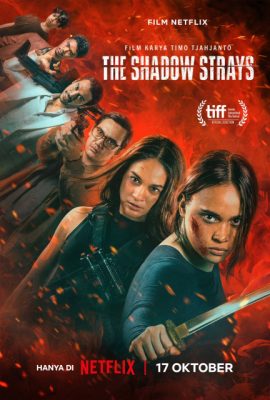 Poster phim Sát Thủ Mật Danh 13 – The Shadow Strays (2024)