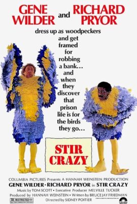 Poster phim Khuấy điên – Stir Crazy (1980)